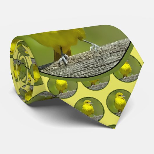 Cravate Orchard Oriole - Photo originale (Roulé)