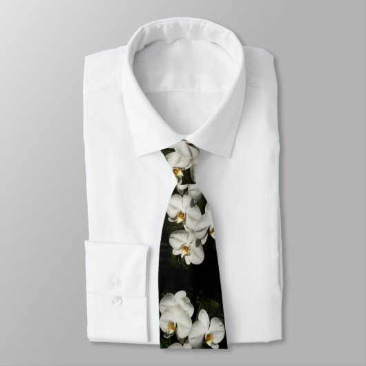 Cravate Orchidées blanches de phalaenopsis (Attaché)