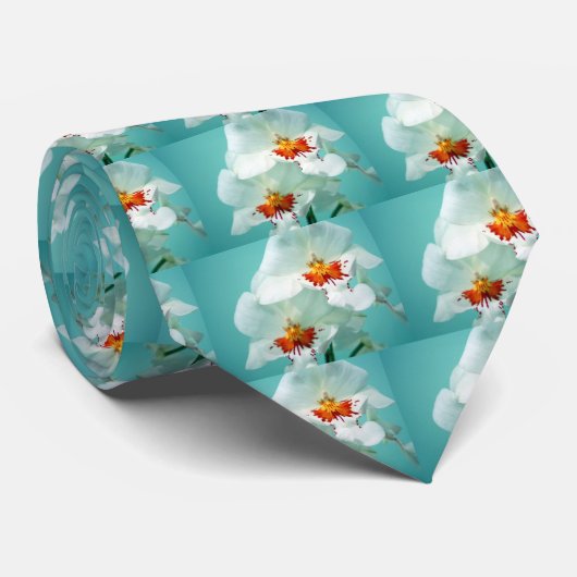 Cravate Orchidées de dames de danse (Roulé)