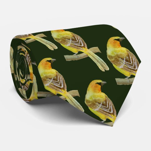 Cravate Oriole à capuchon (Roulé)