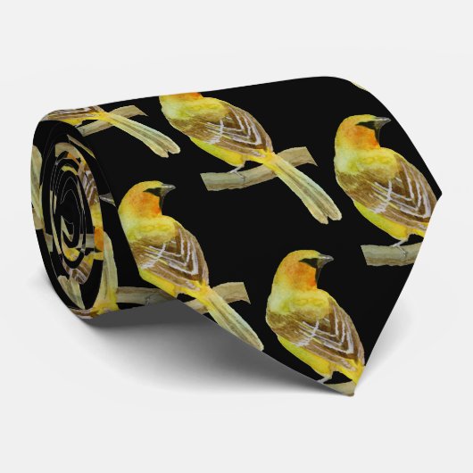 Cravate Oriole à capuchon (Roulé)