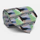 Cravate Otarie californienne (Roulé)