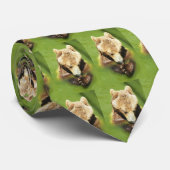 Cravate ours Brown (Roulé)