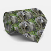 Cravate Ours gris en parc national de Yellowstone (Roulé)