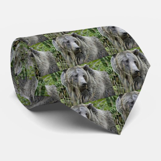 Cravate Ours gris en parc national de Yellowstone (Roulé)