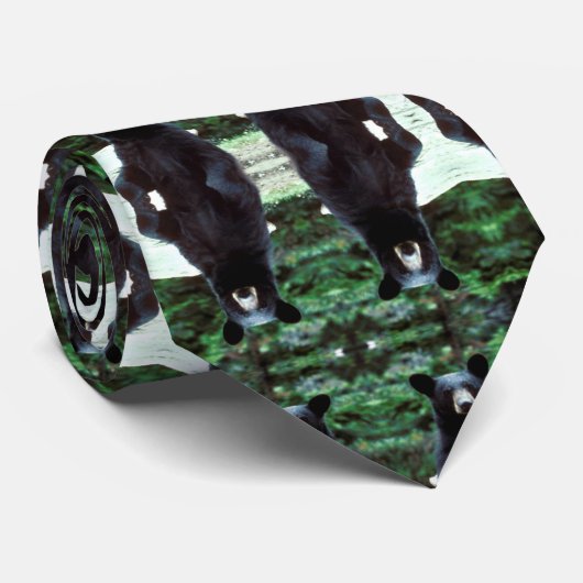 Cravate Ours noir (Roulé)