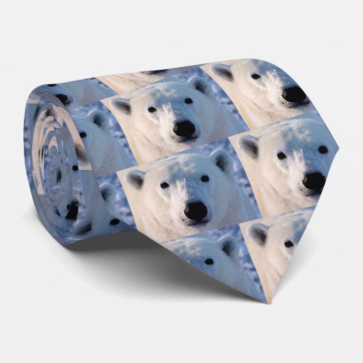 Cravate Ours polaire (Roulé)