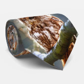 Cravate Owl Hoo (Roulé)