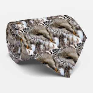 CRAVATE OWLS
