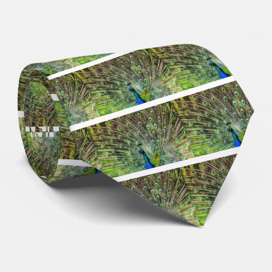 Cravate Pacock (Roulé)