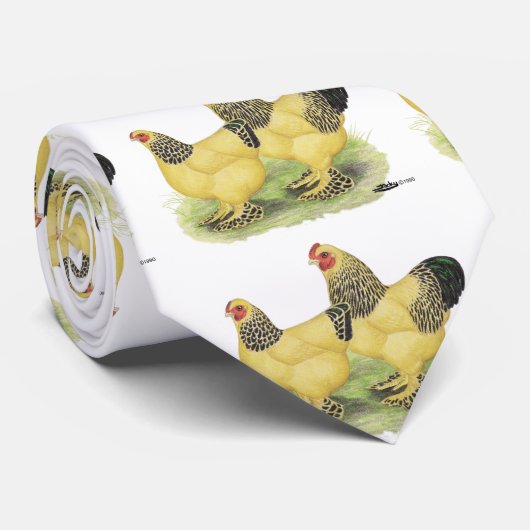 Cravate Paire Brahma Buff (Roulé)