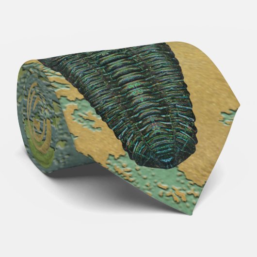 Cravate "Paleo-chic" Calymene Niagarensis Trilobite (Roulé)