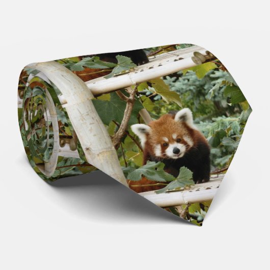 Cravate Panda rouge (Roulé)