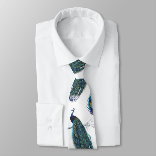 Cravate Paon bleu avec de belles plumes de queue (Attaché)