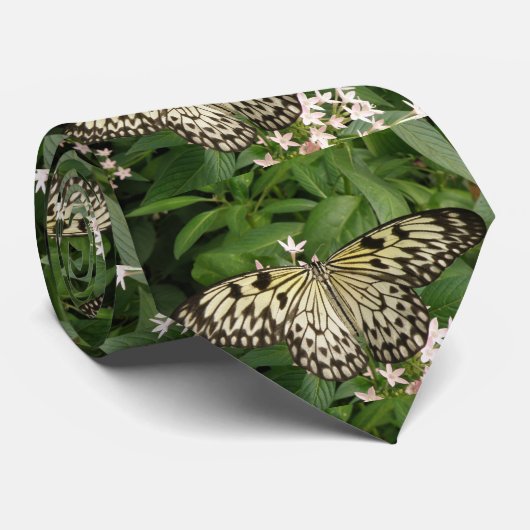 Cravate Papier cerf-volant (Roulé)