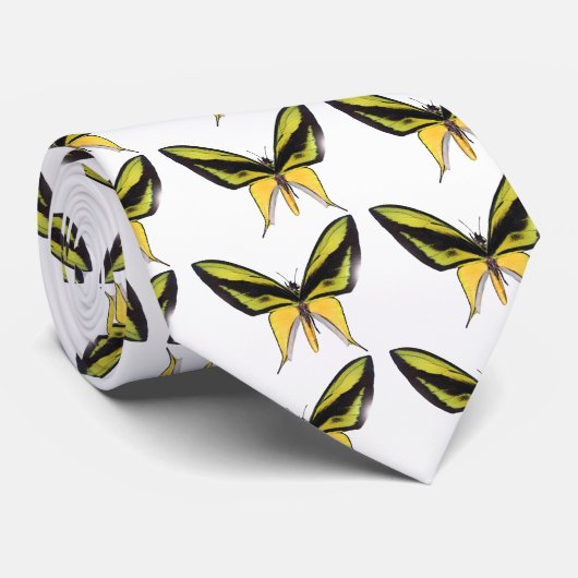 Cravate Papillon de BirdWingX (Roulé)