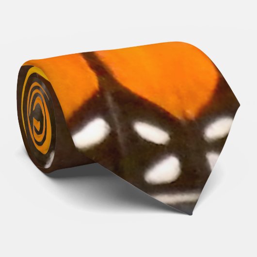 Cravate Papillon de monarque (Roulé)