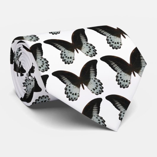 Cravate Papillon de queue d'hirondelle de Marbel (Roulé)