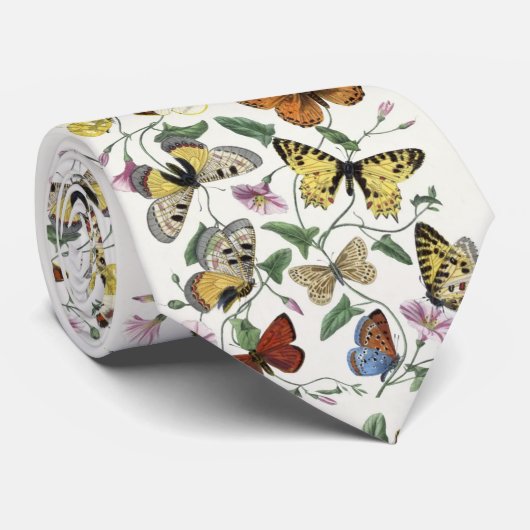 Cravate Papillon et papillon de Paul Gervais (Roulé)