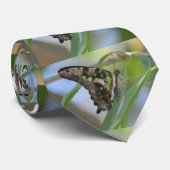 Cravate Papillon spectaculaire (Roulé)