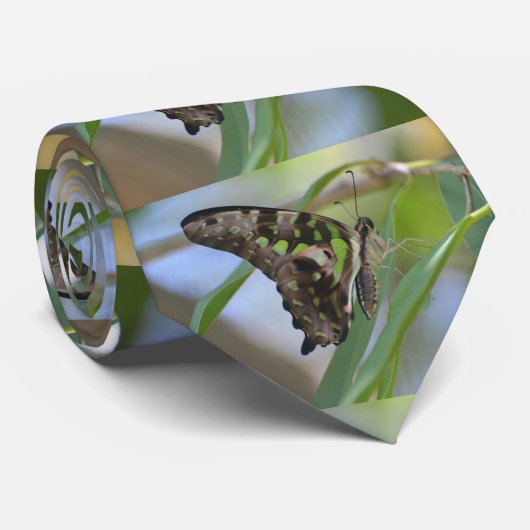 Cravate Papillon spectaculaire (Roulé)