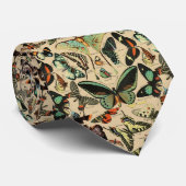 Cravate Papillon vintage Lepidopterist (Roulé)