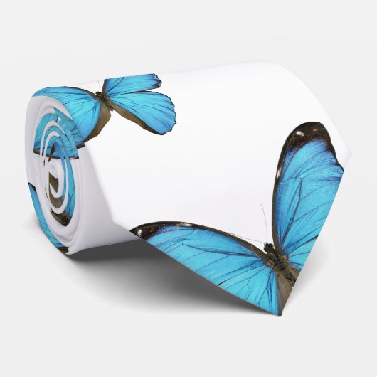 Cravate Papillons bleus (Roulé)