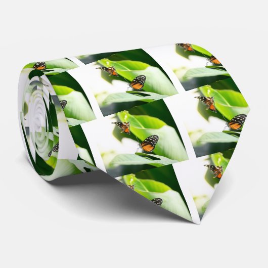 Cravate Papillons monarques (Roulé)