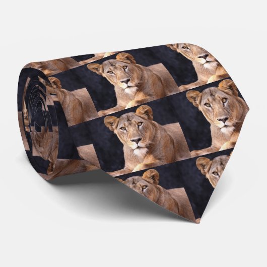 Cravate Parc オ (Roulé)