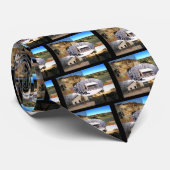 Cravate Parc militaire national de Pea Ridge (Roulé)