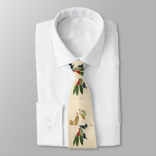 Cravate Paruline azurée (Cerulean), Audubon Birds of Ameri (Attaché)