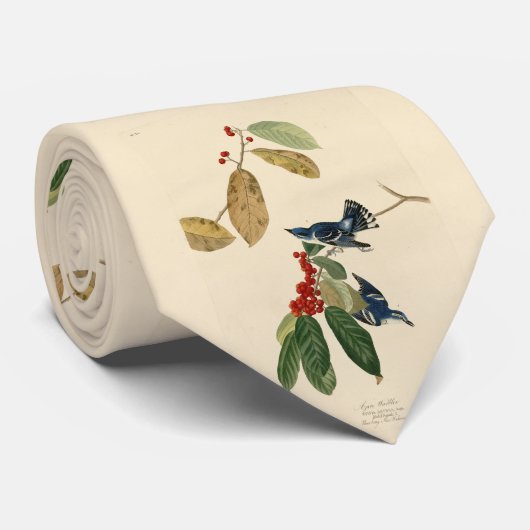 Cravate Paruline azurée (Cerulean), Audubon Birds of Ameri (Roulé)