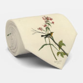 Cravate Paruline noire - Audubon's Birds of America (Roulé)