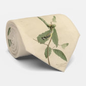 Cravate Paruline noire et jaune, Audubon's Birds of Americ (Roulé)