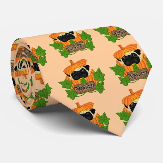 Cravate Patch Citrouille carlin (Roulé)