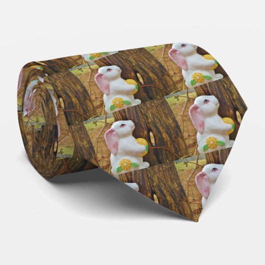Cravate Pays Lapin de Pâques (Roulé)