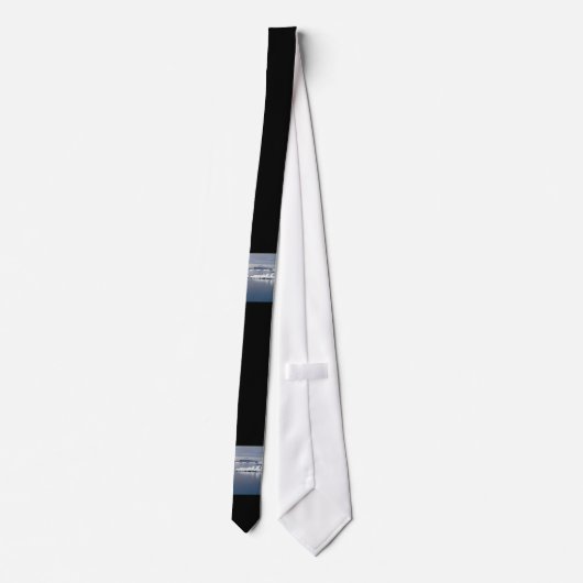 Cravate Paysage antarctique (Dos)