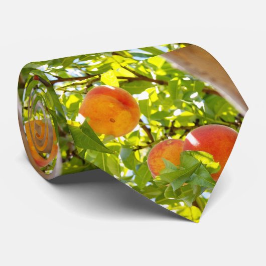 Cravate Peachs mf (Roulé)