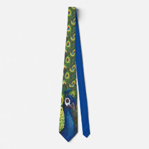 Cravate Peacock