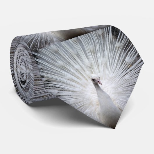 Cravate Peacock 20160401 (Roulé)