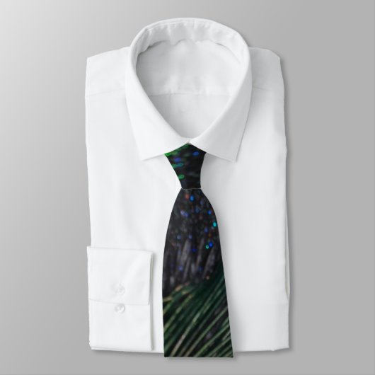 Cravate Peacock arc-en-ciel noir (Attaché)
