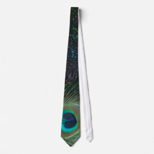 Cravate Peacock arc-en-ciel noir