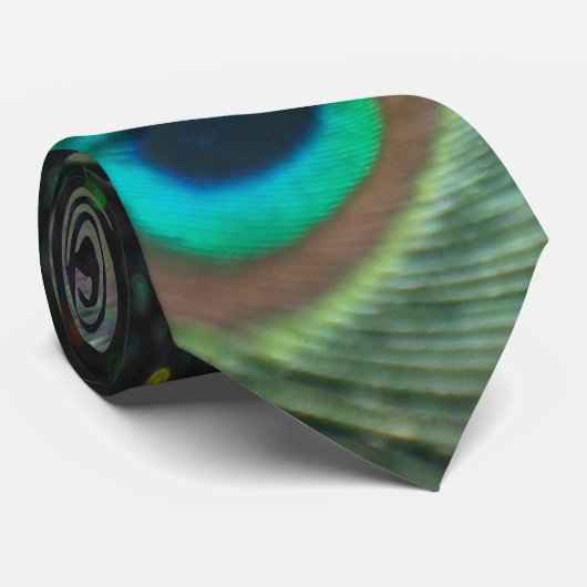 Cravate Peacock arc-en-ciel noir (Roulé)