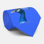 Cravate Peacock : bleu indien (Roulé)