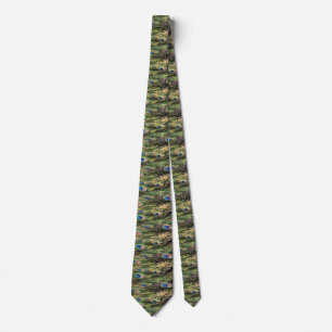 Cravate Peacock plumes