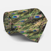 Cravate Peacock plumes (Roulé)