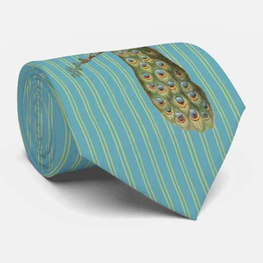 Cravate Peacock Pour les Mariages et les occasions (Roulé)