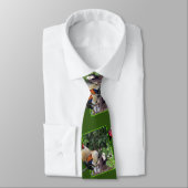 Cravate Peekaboo Chickens, Neck Tie (Attaché)