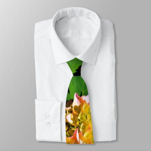 Cravate Peine verte et rose (Attaché)