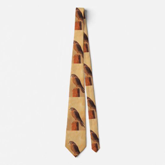 Cravate Peinture américaine Kestrel - Art original pour oi (Devant)